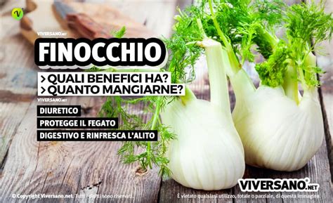 Infografica che illustra le proprietà antiossidanti e immunitarie del finocchio.