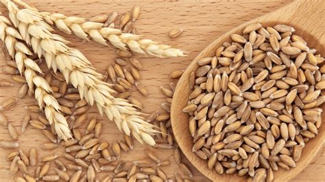 Primo piano di chicchi di farro 