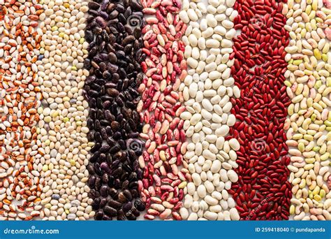 Immagine di diversi tipi di legumi: lenticchie, ceci, fagioli