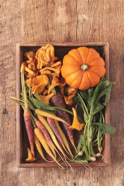 Selezione di verdure autunnali fresche: zucca, finocchi, carote, barbabietole, cavolo