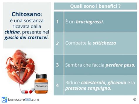Infografica sui benefici nutrizionali del chitosano contenuto nel guscio dei gamberi