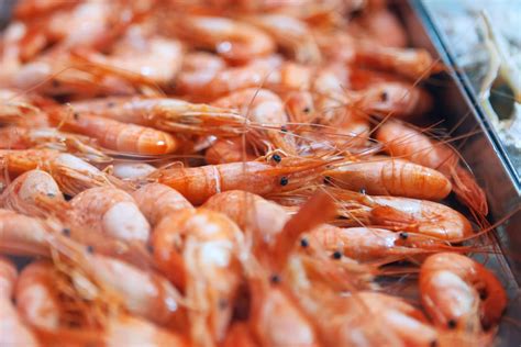 Confronto visivo tra gamberi, mazzancolle e scampi