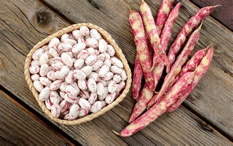 Immagine di un campo di fagioli borlotti durante la raccolta