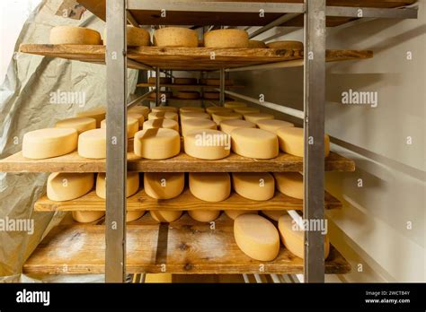 Interno di una cantina di stagionatura del formaggio Taleggio