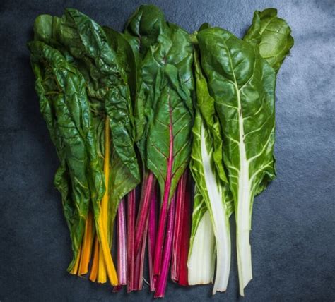 Illustrazione delle due varietà di bietole: da taglio e da coste