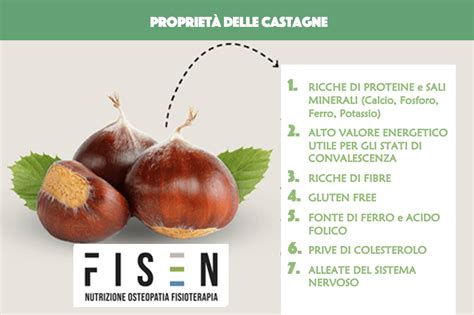 Schema nutrizionale delle castagne con enfasi su fibre, carboidrati, vitamine e minerali