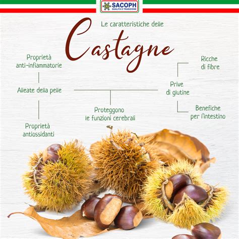 Confronto visivo tra il riccio di castagna commestibile (Castanea sativa) e il riccio di ippocastano (Aesculus hippocastanum), evidenziando le differenze nelle spine e nella forma del frutto.