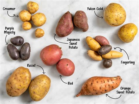 Variety of potatoes: red, white, purple, blue, Italian, Spanish, and Dutch