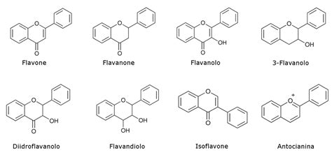 Infografica sulla composizione nutrizionale del limone, evidenziando vitamina C, flavonoidi e limonene.