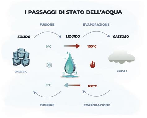 Sequenza di immagini che illustrano i passaggi degli esercizi addominali.