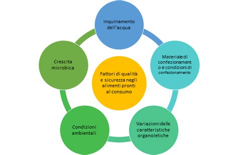 Infografica che illustra i fattori che influenzano il prezzo dei ravioli freschi: qualità ingredienti, provenienza, tipo di produzione, marca.