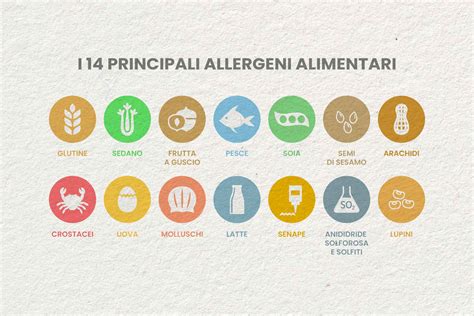 Infografica che confronta gli ingredienti e i passaggi chiave delle versioni romagnola ed emiliana della zuppa maltagliati e fagioli