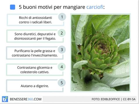 Schema dei principali nutrienti e benefici del carciofo per la salute canina