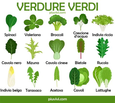 Varietà di verdure a foglia verde, tra cui gli spinaci