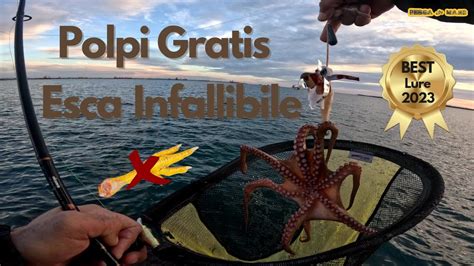 Illustrazione della polpara, accessorio per la pesca al polpo, con dettagli sugli ami e sul fermo per l'esca.