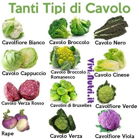 infografica con le diverse varietà di cavoli e le loro caratteristiche