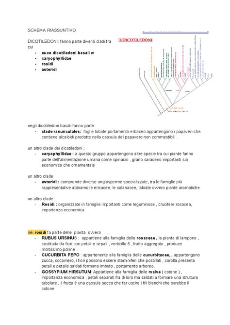 schema riassuntivo degli ingredienti e passaggi chiave per la preparazione degli arancini ai funghi