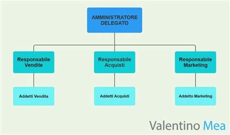 Schema organizzativo delle sezioni archivistiche