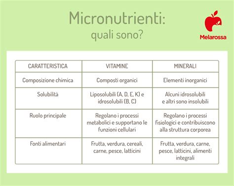 infografica con i principali nutrienti della verza