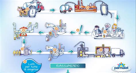 Schema della filiera produttiva dello Shropshire Blue, dall'origine del latte alla stagionatura.