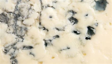 Un primo piano di uno Stilton, mostrando le venature blu/verdi caratteristiche.
