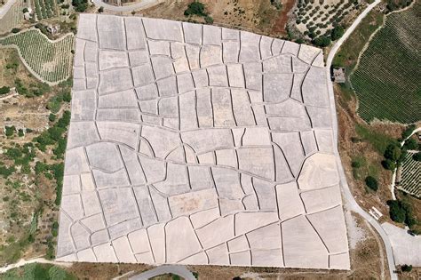 Confronto visivo tra la texture di un'opera di Burri e un materiale naturale simile a una muffa