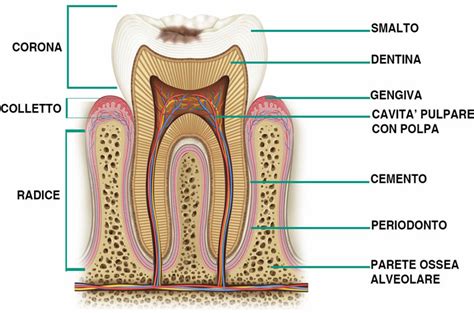 tabella comparativa del potenziale erosivo di diverse bevande sullo smalto dentale, evidenziando il succo di limone
