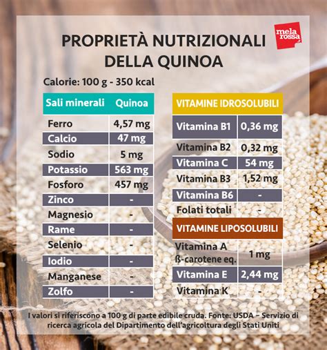 Infografica sui valori nutrizionali della quinoa: proteine, amminoacidi essenziali, fibre, minerali e vitamine.
