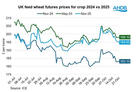 Grafico che mostra l'andamento del Future durum wheat index DWY00