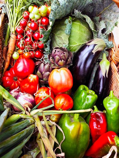 orto con verdure fresche come pomodori, carote e zucchine