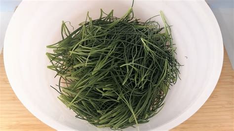 Foglie filiformi della barba di frate, verdi e carnose
