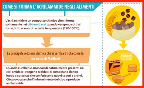 Schema che illustra la formazione di acrilammide durante la tostatura