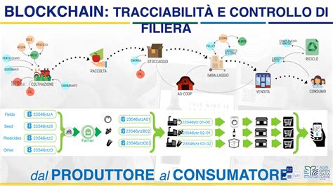 Infografica che illustra il funzionamento della blockchain applicata alla tracciabilità del riso, mostrando i diversi passaggi dalla coltivazione al consumatore finale.