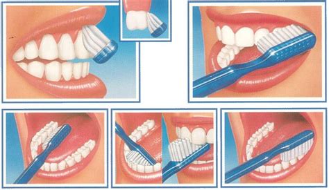 Illustrazione dettagliata dell'igiene orale corretta: spazzolamento dei denti, uso del filo interdentale e pulizia della lingua.