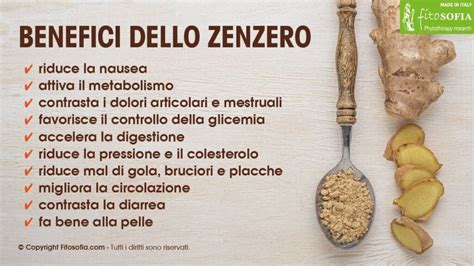 Infografica che illustra i benefici del carciofo e dello zenzero per la digestione, con icone rappresentative dei rispettivi principi attivi