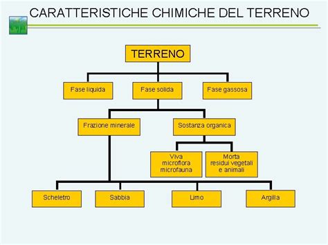Schema che illustra le caratteristiche del terreno vulcanico e i benefici climatici per la coltivazione del pomodoro