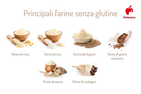 Varietà di farine senza glutine e cacao in polvere