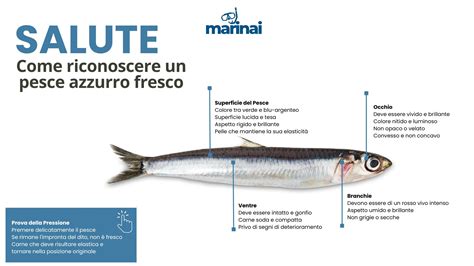 Pesce lampuga fresco su un bancone di mercato