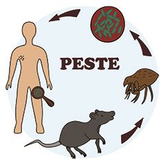 Illustrazione di persone affette dalla peste con i sintomi tipici, come bubboni e febbre alta.