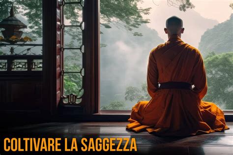 Infografica che compara la saggezza (occhi aperti, cammino illuminato) con la stoltezza (occhi chiusi, cammino buio).