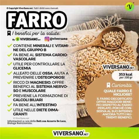 Infografica che illustra i principali benefici nutrizionali del farro, con focus su fibre, proteine, minerali e vitamine.