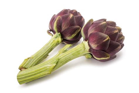 Immagine di carciofi freschi puliti e pronti per la preparazione