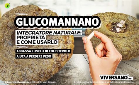 Infografica che illustra i benefici del glucomannano e il suo effetto saziante