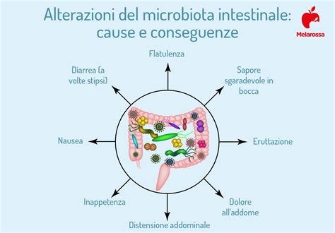 Schema che illustra l'interazione tra microbiota intestinale e sistema nervoso centrale