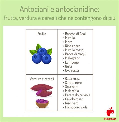 Infografica che illustra i benefici degli antociani presenti nei cavolfiori viola
