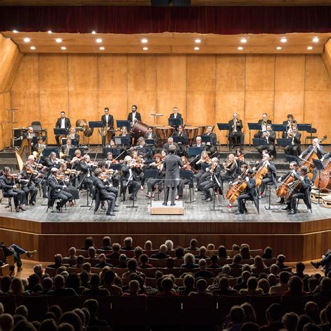 Foto di un'orchestra diretta da Andrea Vitello durante un concerto