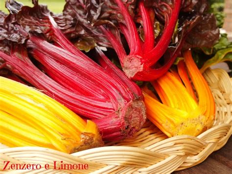 Varietà di bietole con coste colorate (rosso, giallo, arancione, viola)