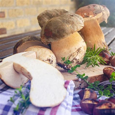 Funghi porcini freschi e gamberetti pronti per la cottura