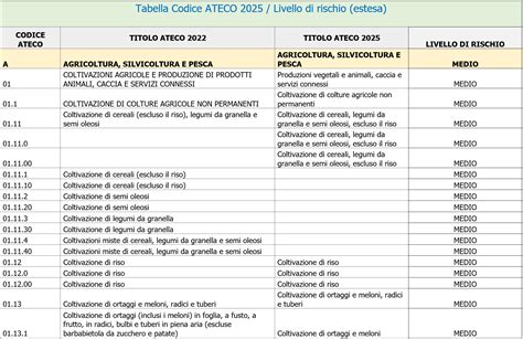 schema che illustra la transizione dalla classificazione ATECO 2007 ad ATECO 2025, evidenziando l'eliminazione del criterio del canale di vendita per il commercio al dettaglio e la nuova classificazione basata sul tipo di prodotto venduto.