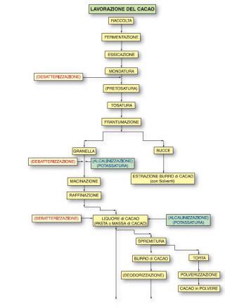 Schema del processo di lavorazione del cioccolato: dal cacao alla tavoletta